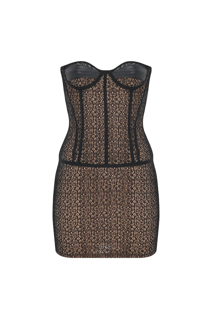 Lace Bustier Dress