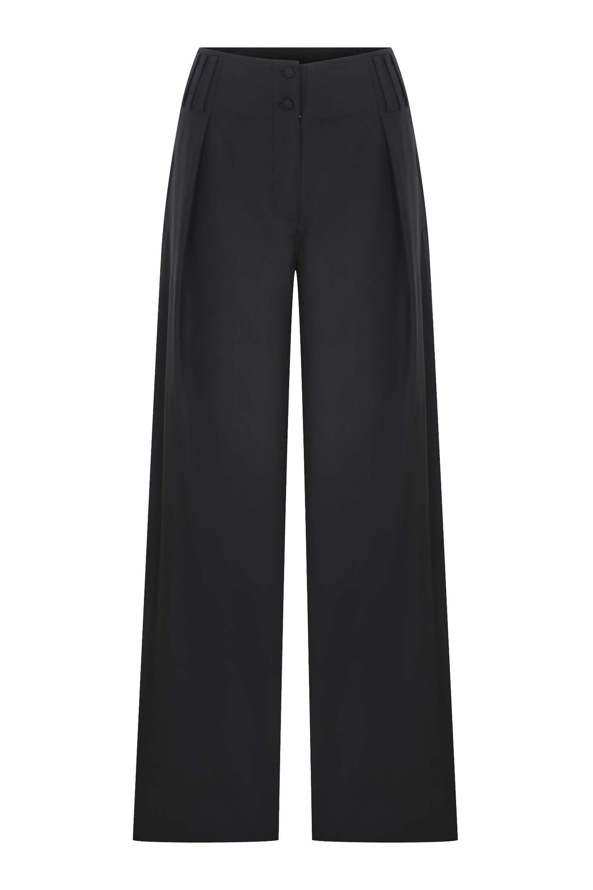 Pleated Pants